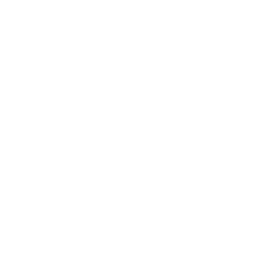  ceo logo