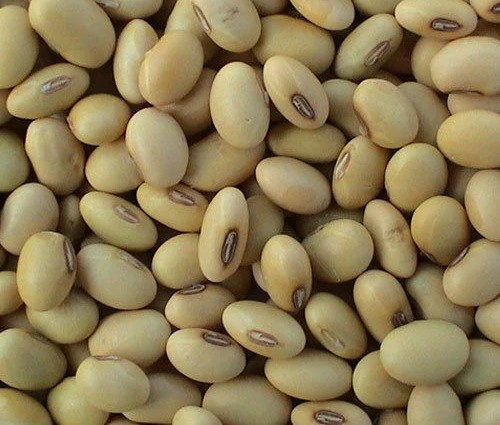Soya beans